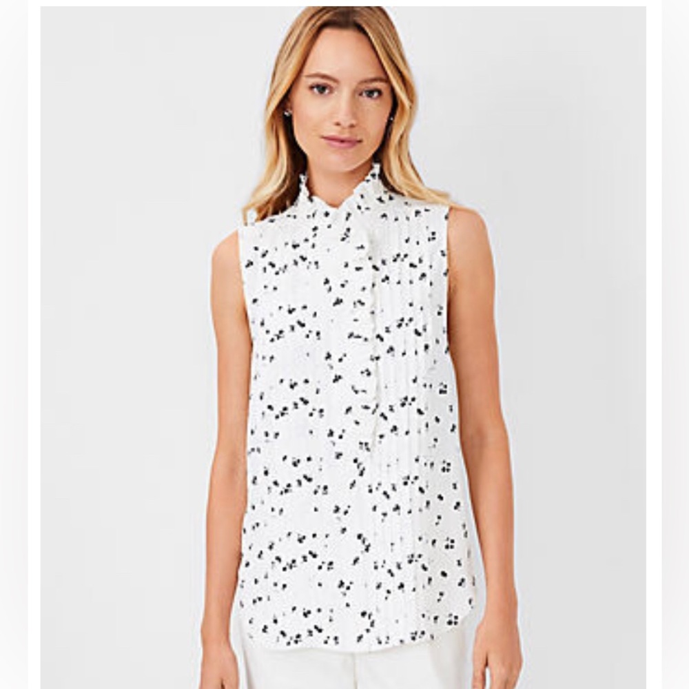 Ann Taylor Floral Ruffle Pintucked Popover Shell Top